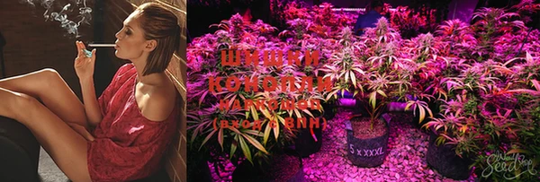 наркотики Кострома