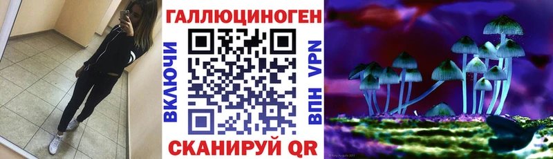 Галлюциногенные грибы GOLDEN TEACHER  Купить  Новодвинск 